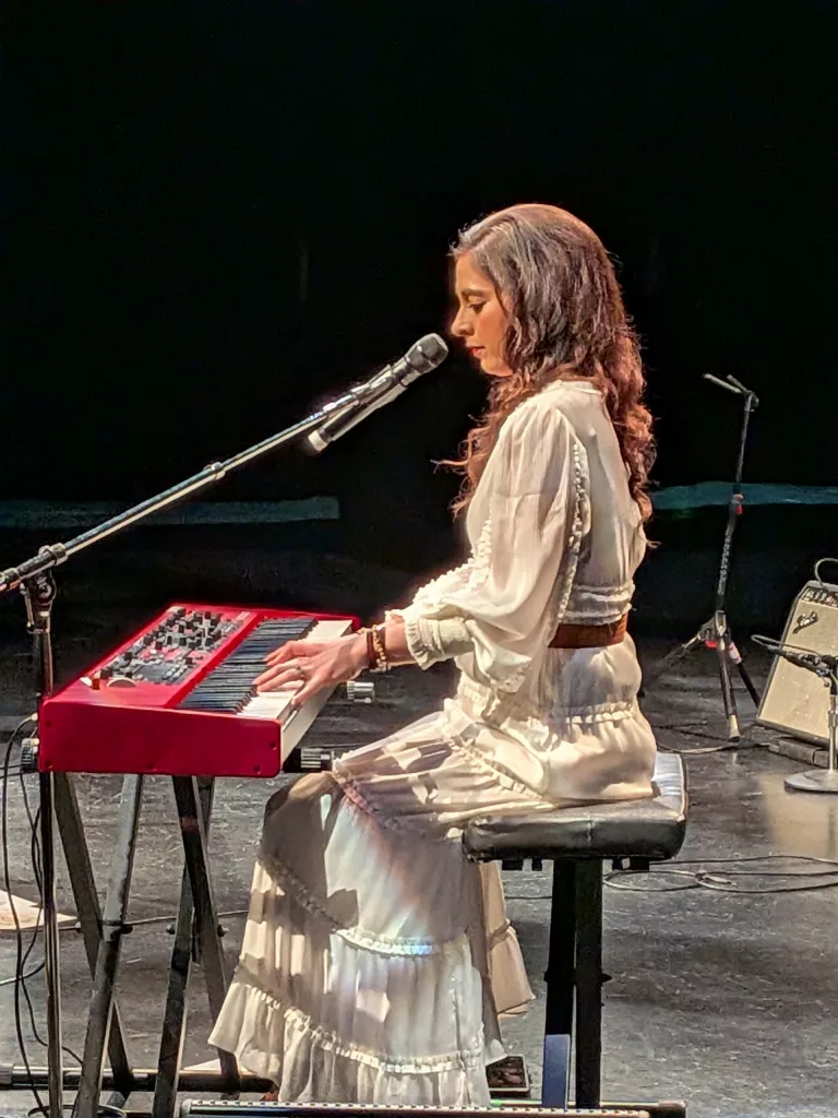 Maggie McClure The Imaginaries