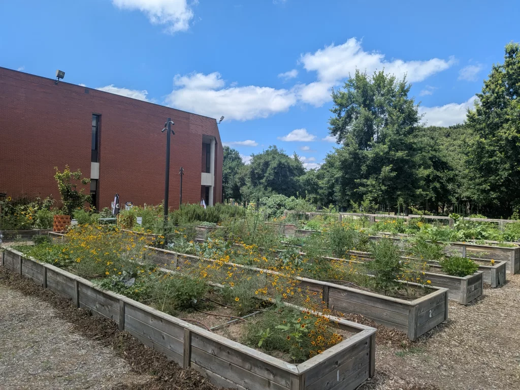 The gardens at Georgia Tech.